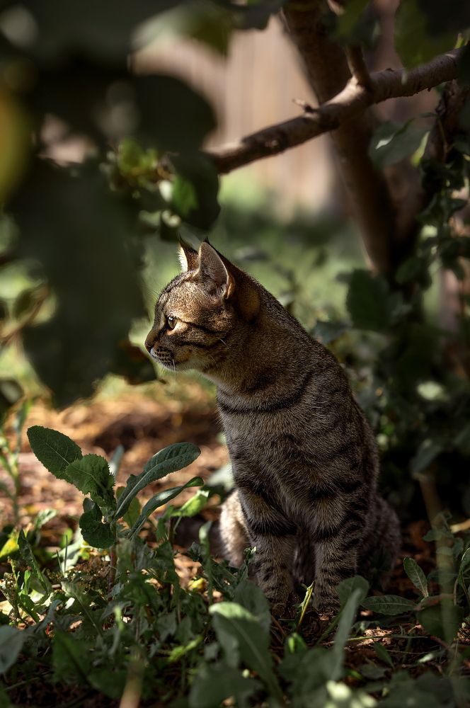 Photograph by Татьяна