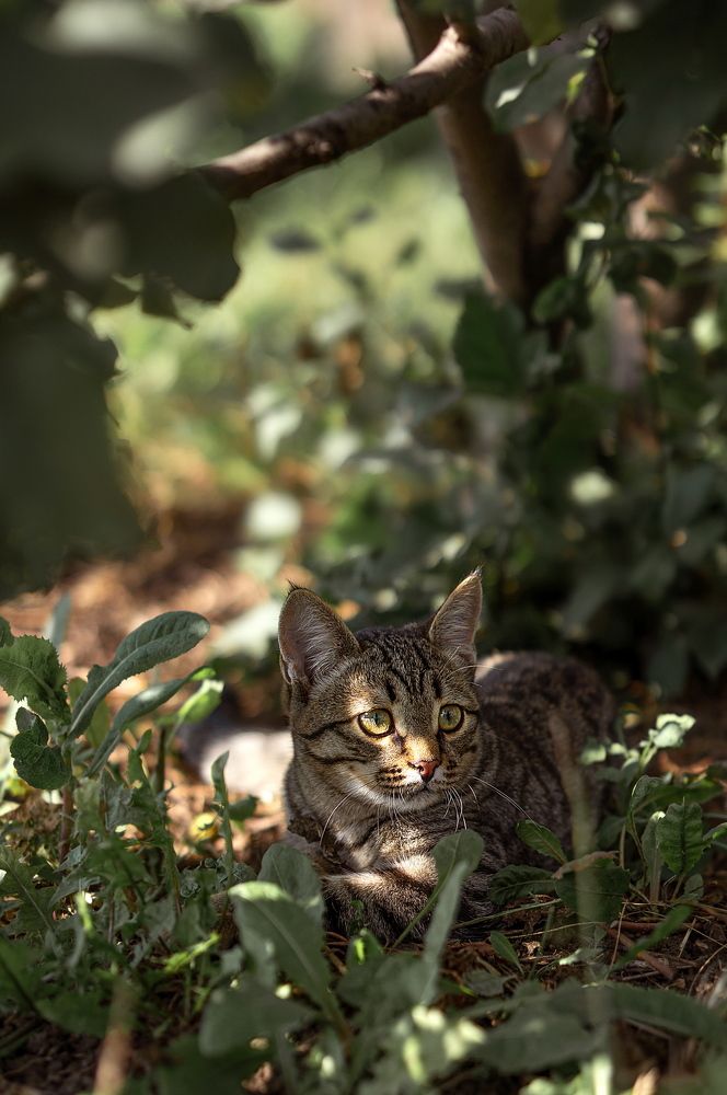 Photograph by Татьяна