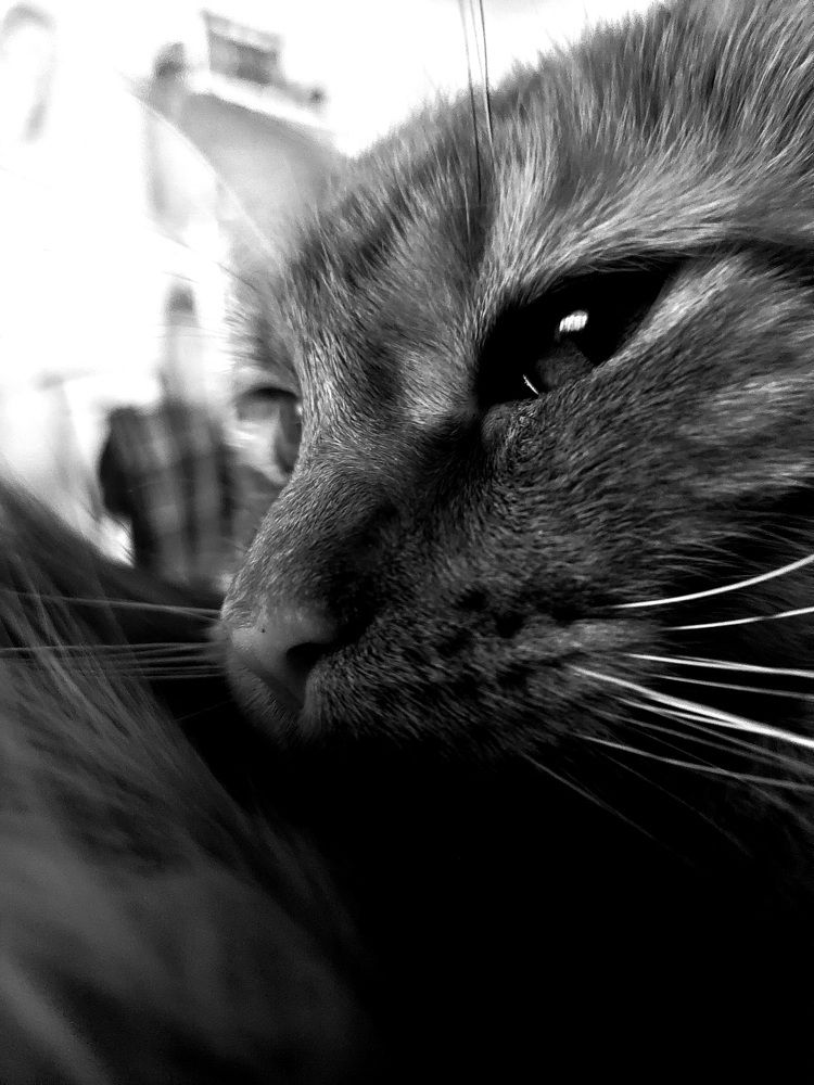 Photograph by Александра Куликова