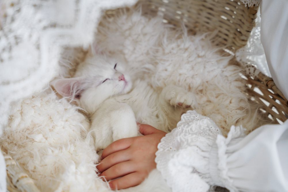 Photograph by Екатерина Чернова-Груздева