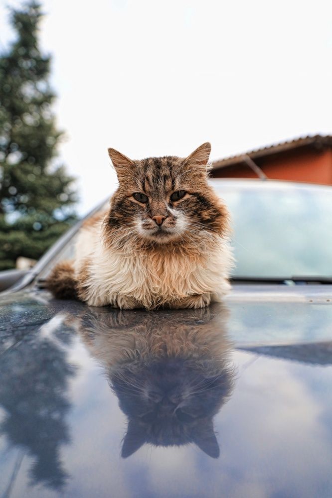 Photograph by Nurlan Tahirli