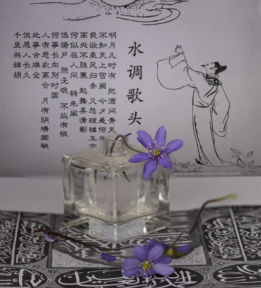 Фиальки на фоне китайской поэзии