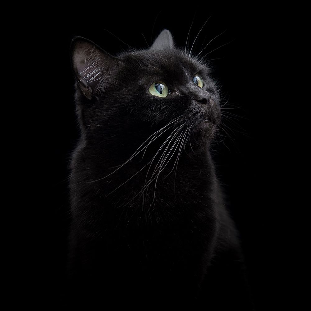 Photograph by Екатерина Светлова