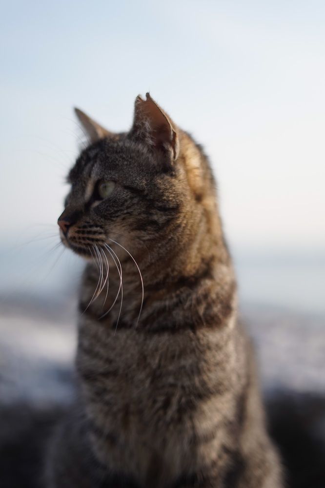 Photograph by FAHAD ALFAHAD