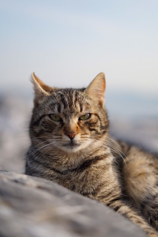 Photograph by FAHAD ALFAHAD