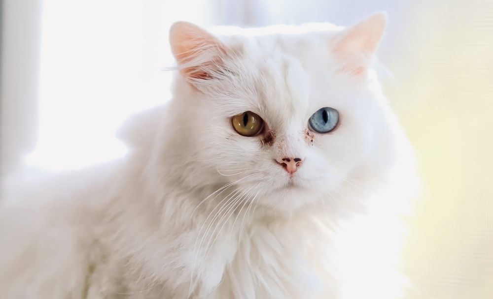 Photograph by FAHAD ALFAHAD