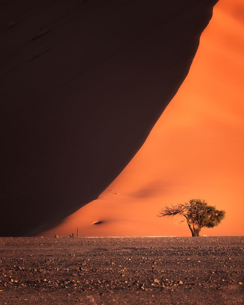 Фотография автора Oleg Rest