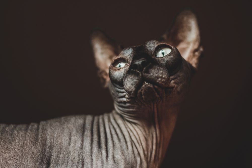 Photograph by Sveta Rubcova