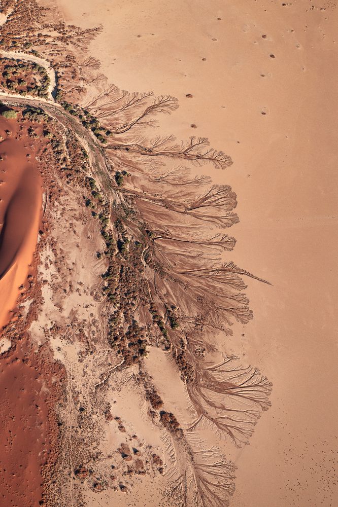 Photograph by Oleg Rest