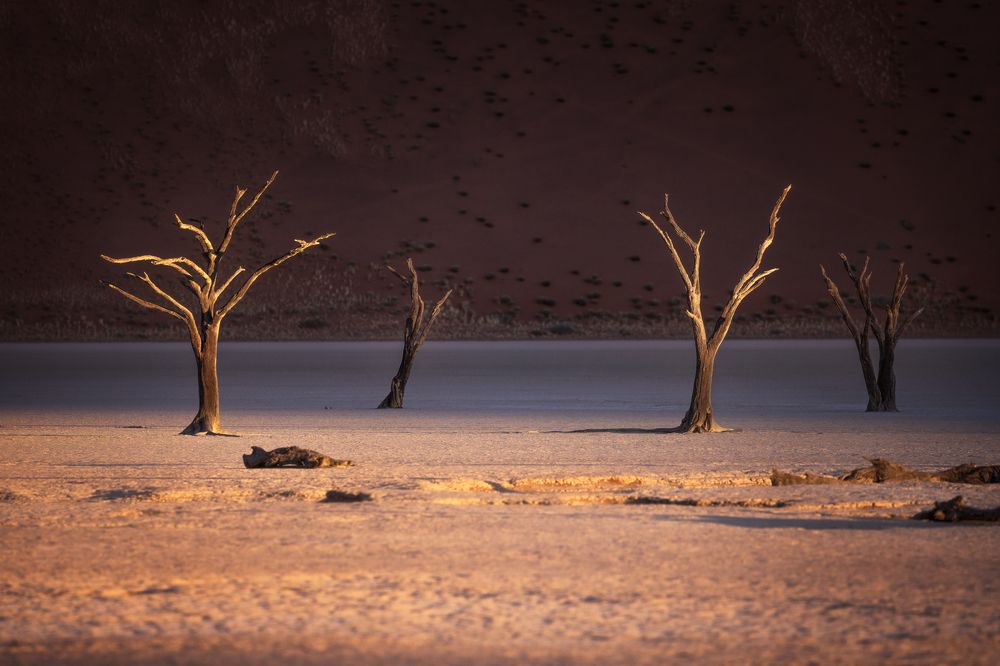 Фотография автора Oleg Rest