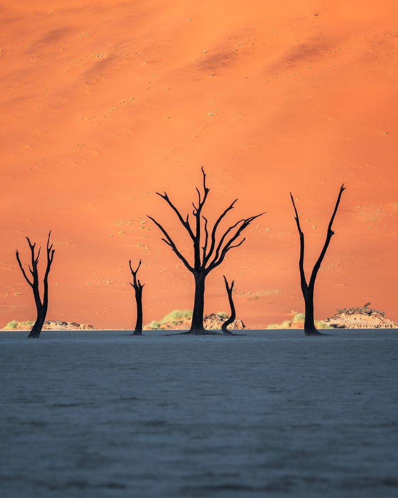 Фотография автора Oleg Rest