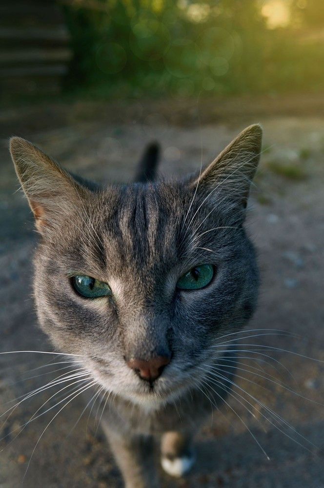 Photograph by Дмитрий Петров