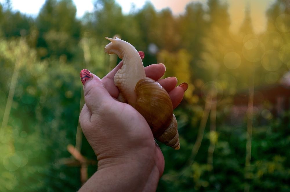 Photograph by Дмитрий Петров