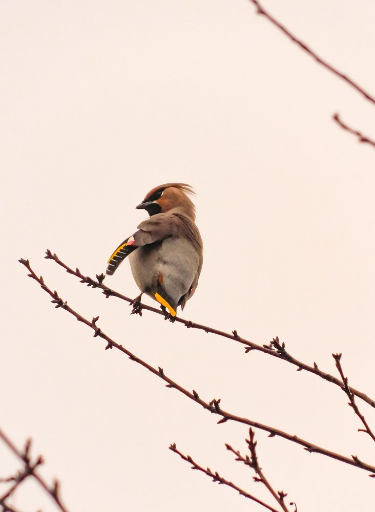 Photograph by Юлия Закопайло