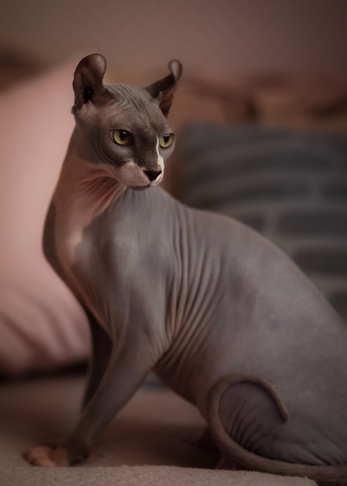 Photograph by Светлана Хижняк