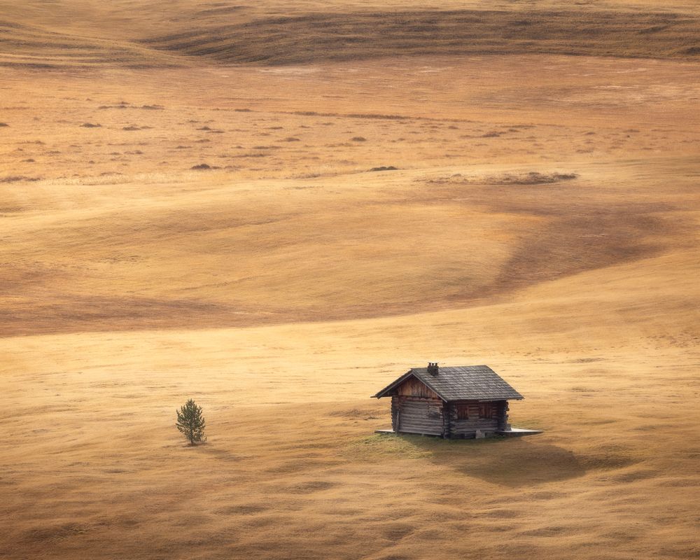 Фотография автора Oleg Rest