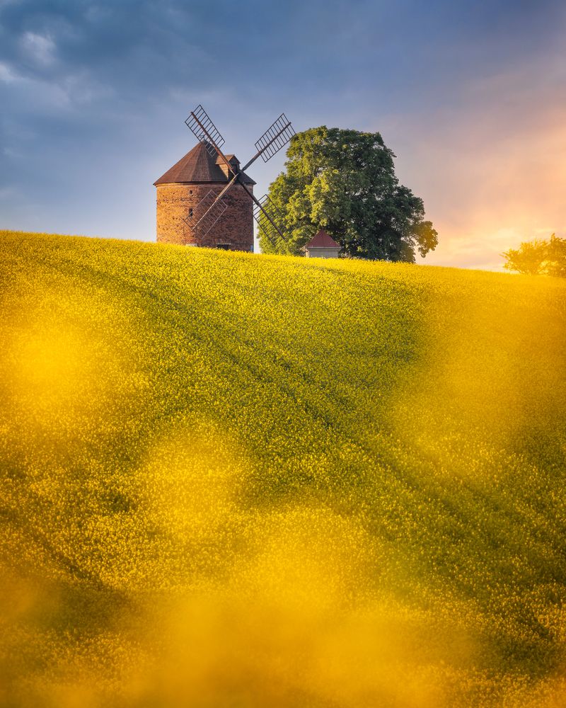 Фотография автора Oleg Rest