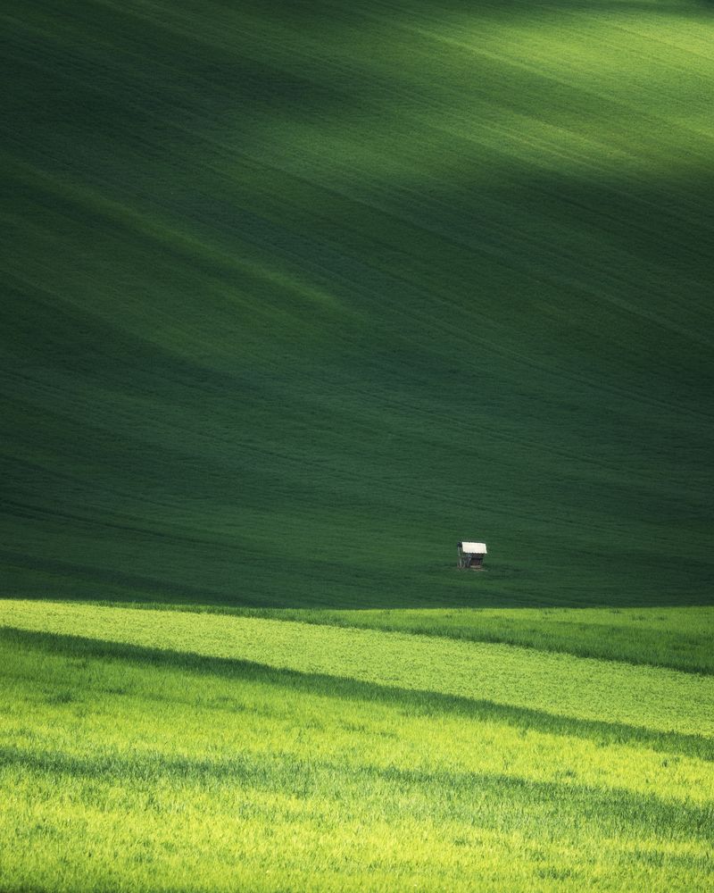 Фотография автора Oleg Rest