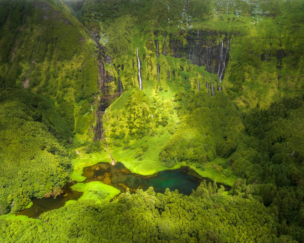 Фотография автора Oleg Rest