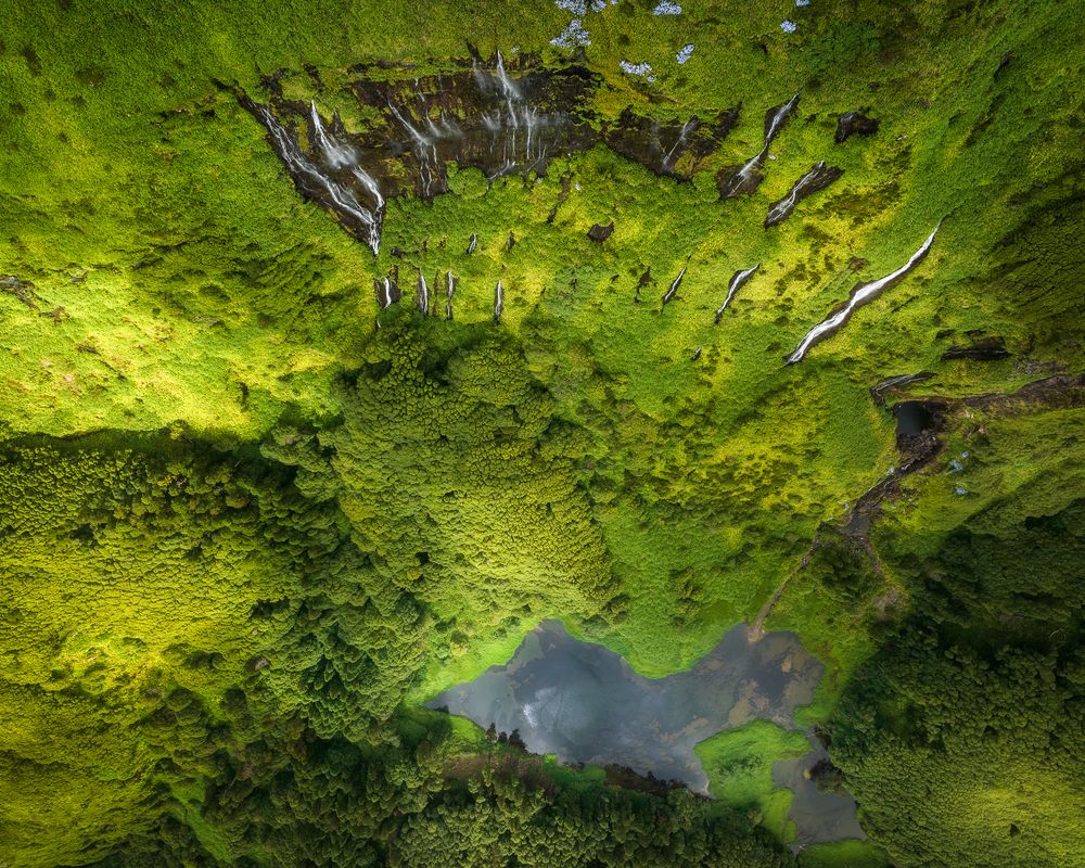 Фотография автора Oleg Rest