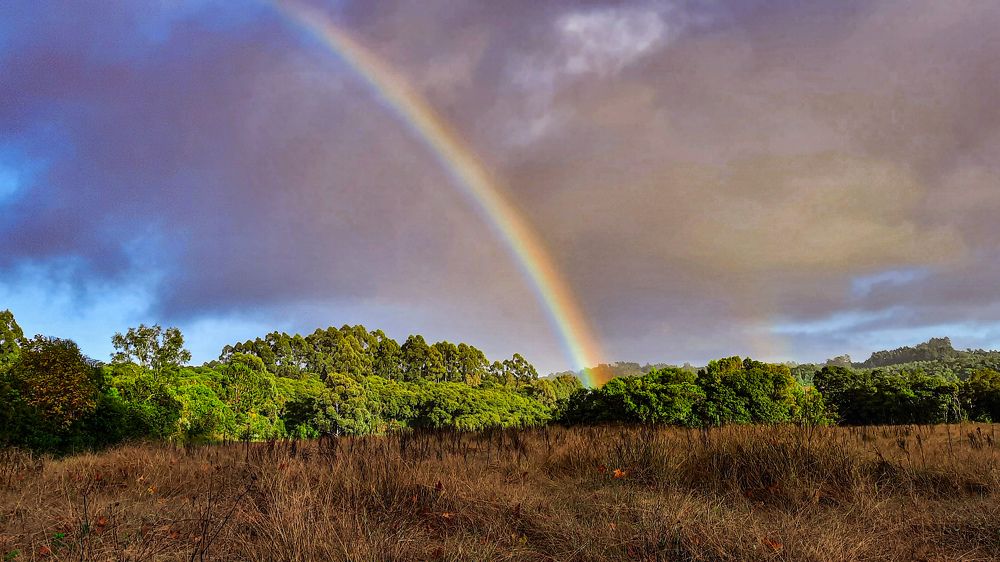 Фотография автора Iara krisna Puntel da Silva