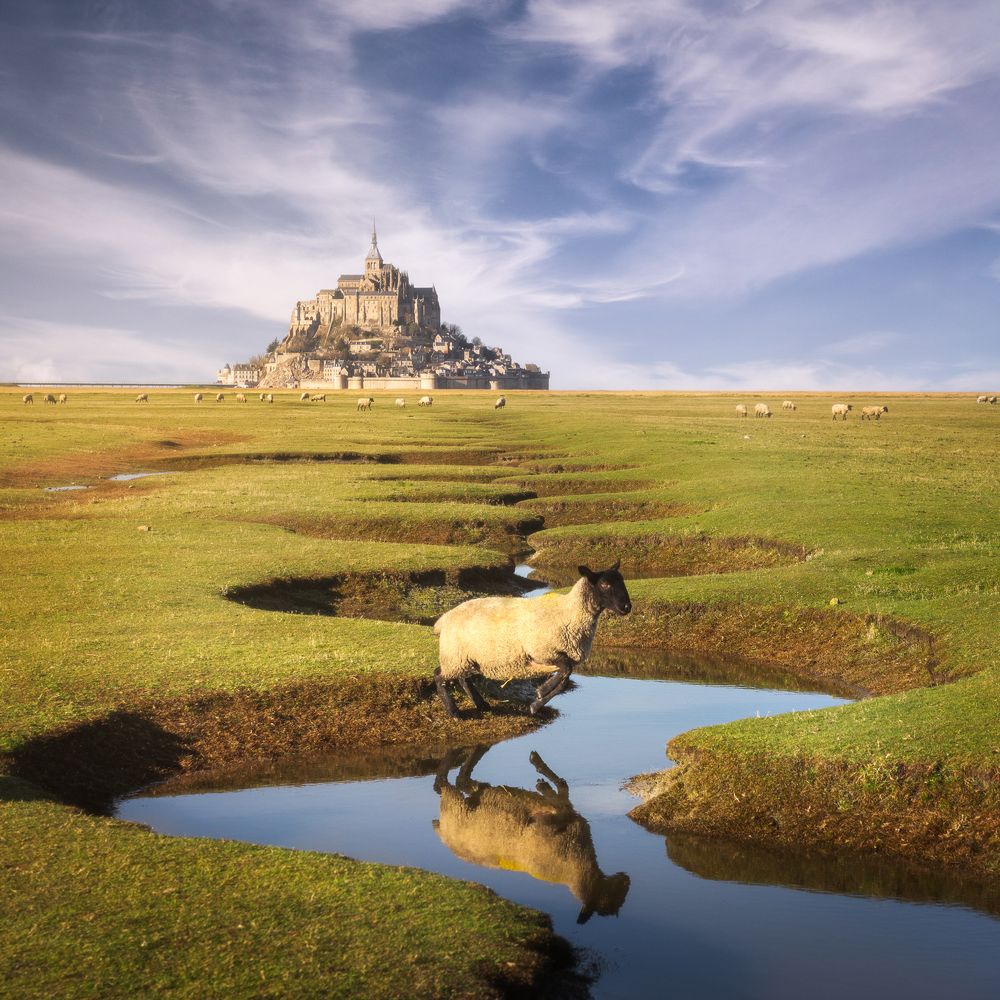 Фотография автора Oleg Rest