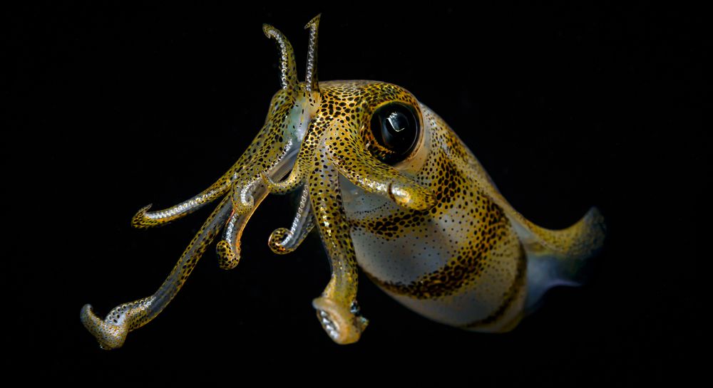 Photograph by Савин Андрей