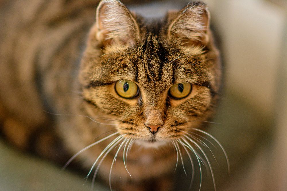 Photograph by Елена Берсенёва