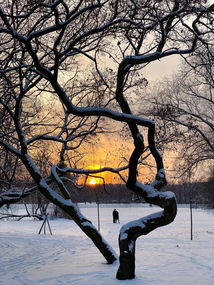 Photograph by Юлия Гончарова
