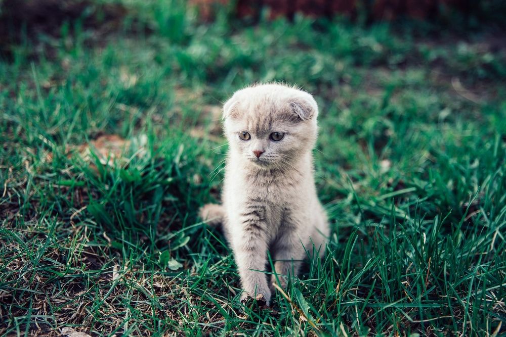 Photograph by Анна Бобкова