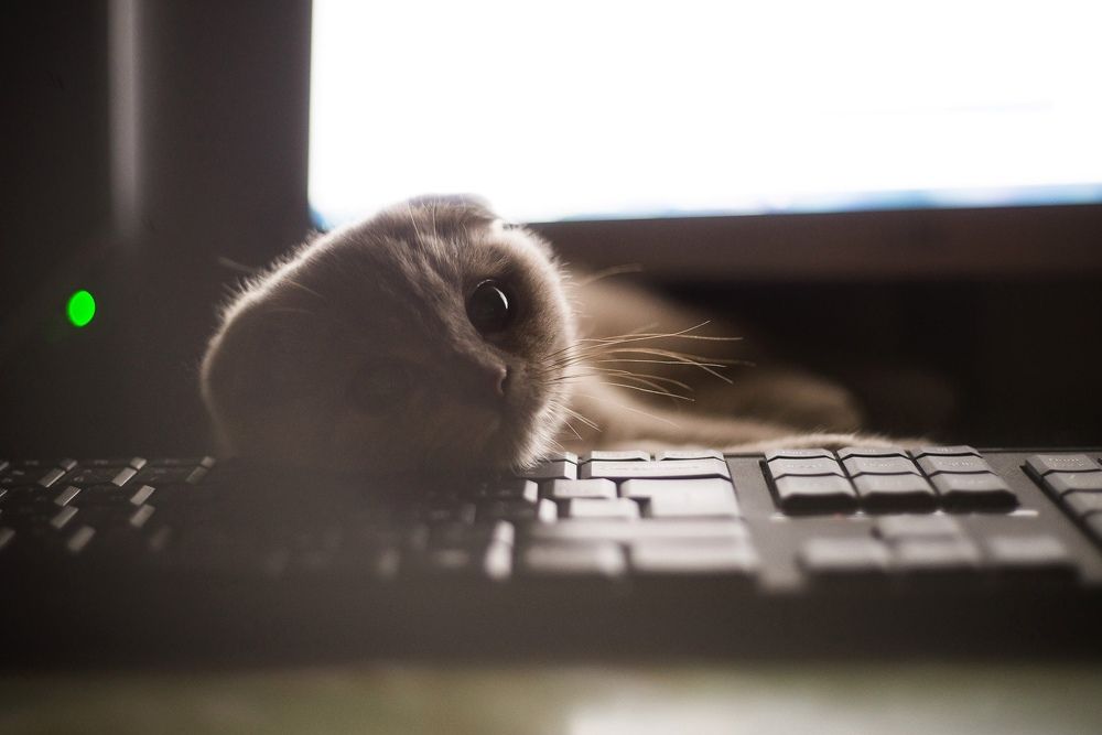 Photograph by Анна Бобкова