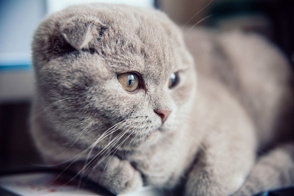 Photograph by Анна Бобкова