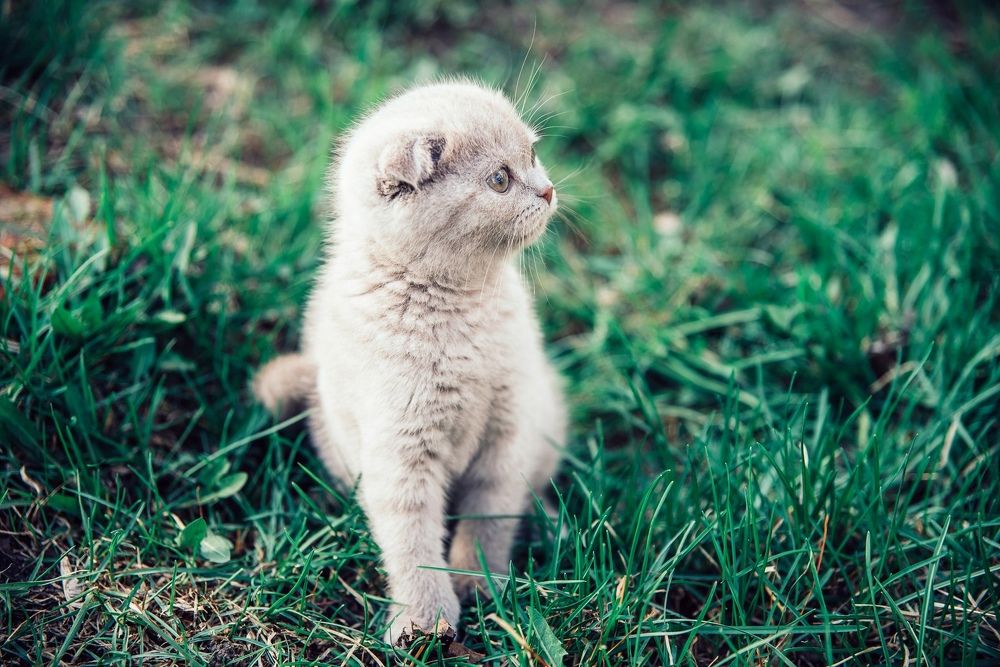 Photograph by Анна Бобкова