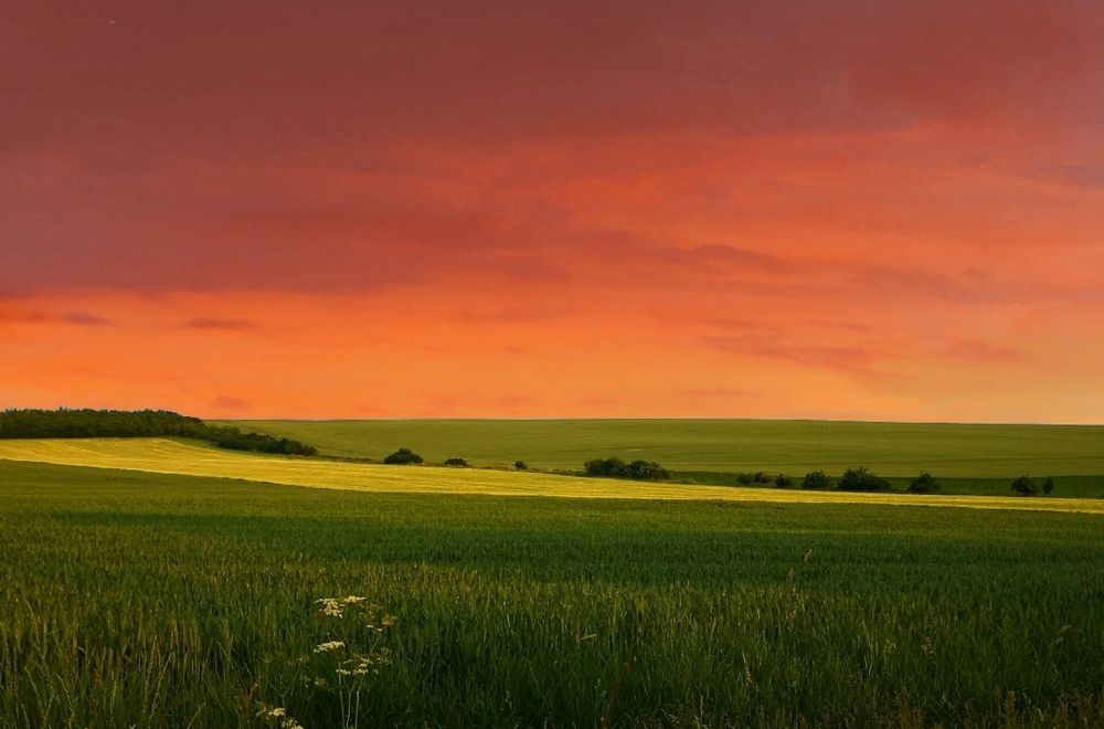 Photograph by Nikolett Mengyi