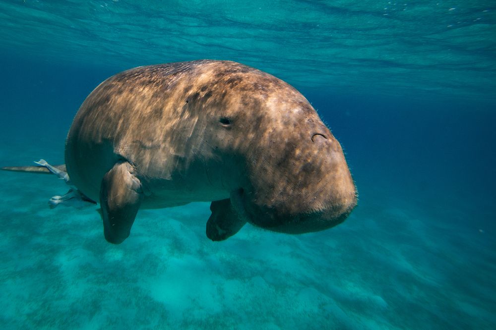 Photograph by Александр