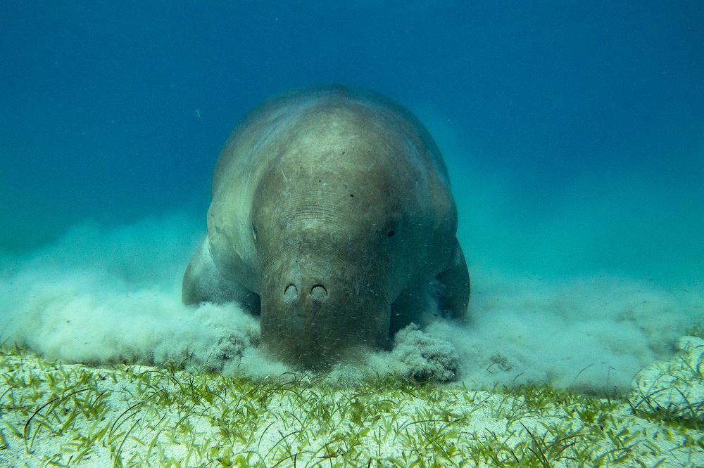 Photograph by Александр