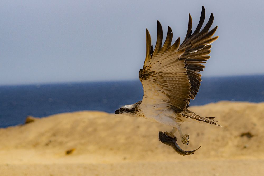 Photograph by Александр