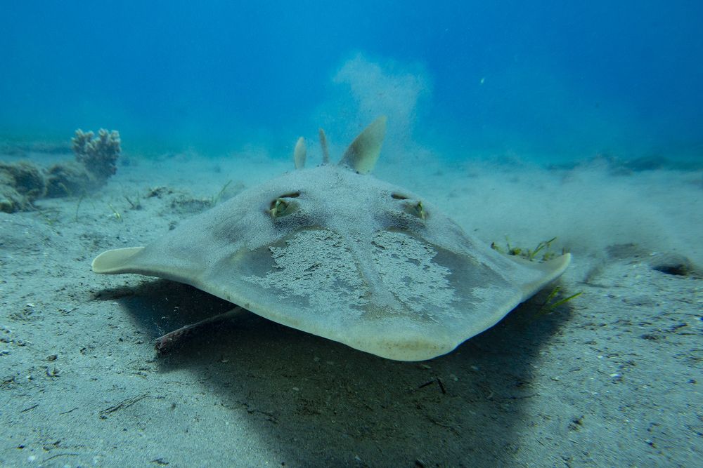 Photograph by Александр