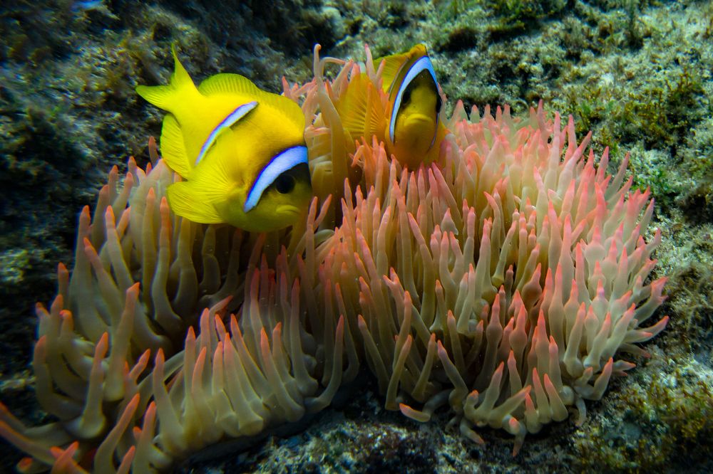 Photograph by Александр