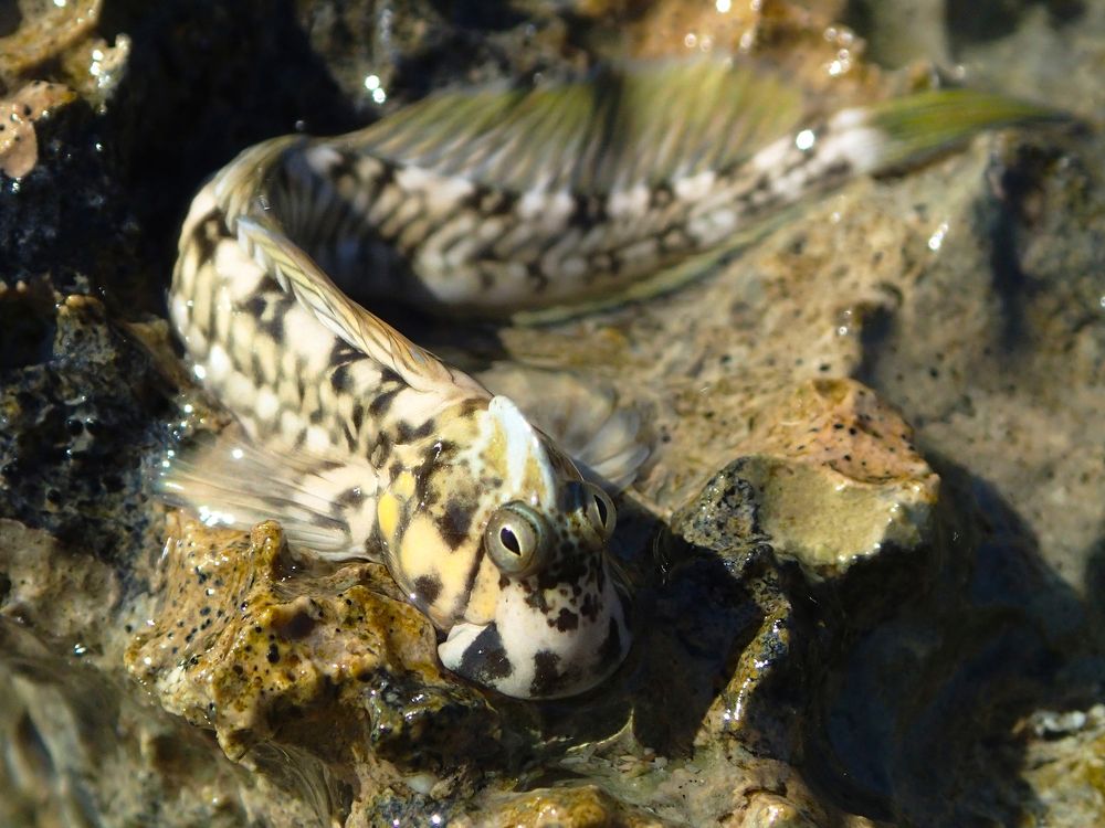 Photograph by Александр