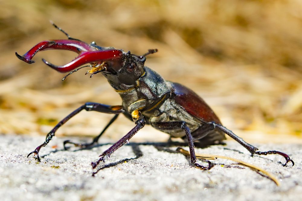 Photograph by Александр