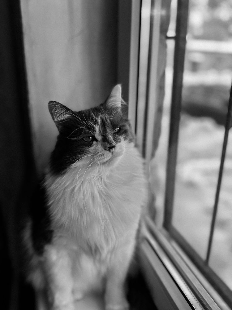 Photograph by Дарья