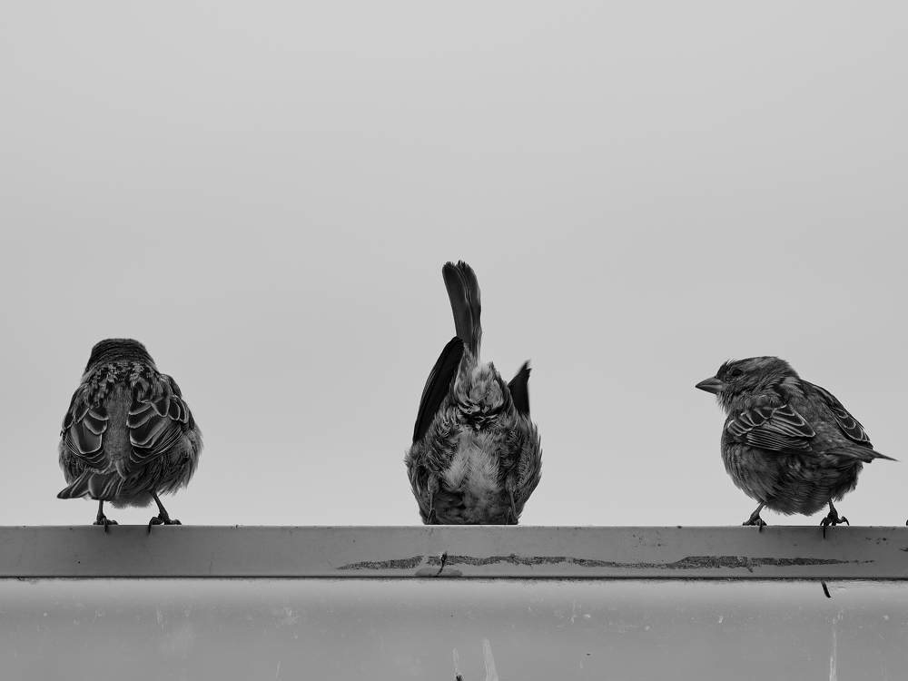 Photograph by Аркадий Сидоренко