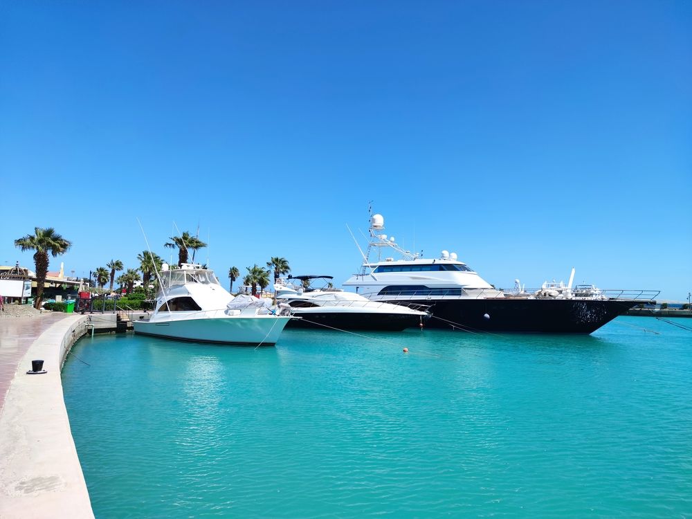 Фотография автора Максим Светличный