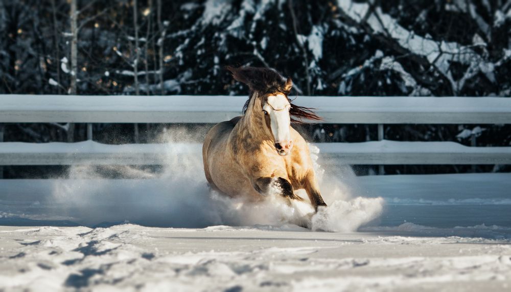 Photograph by Альбина Сагитова