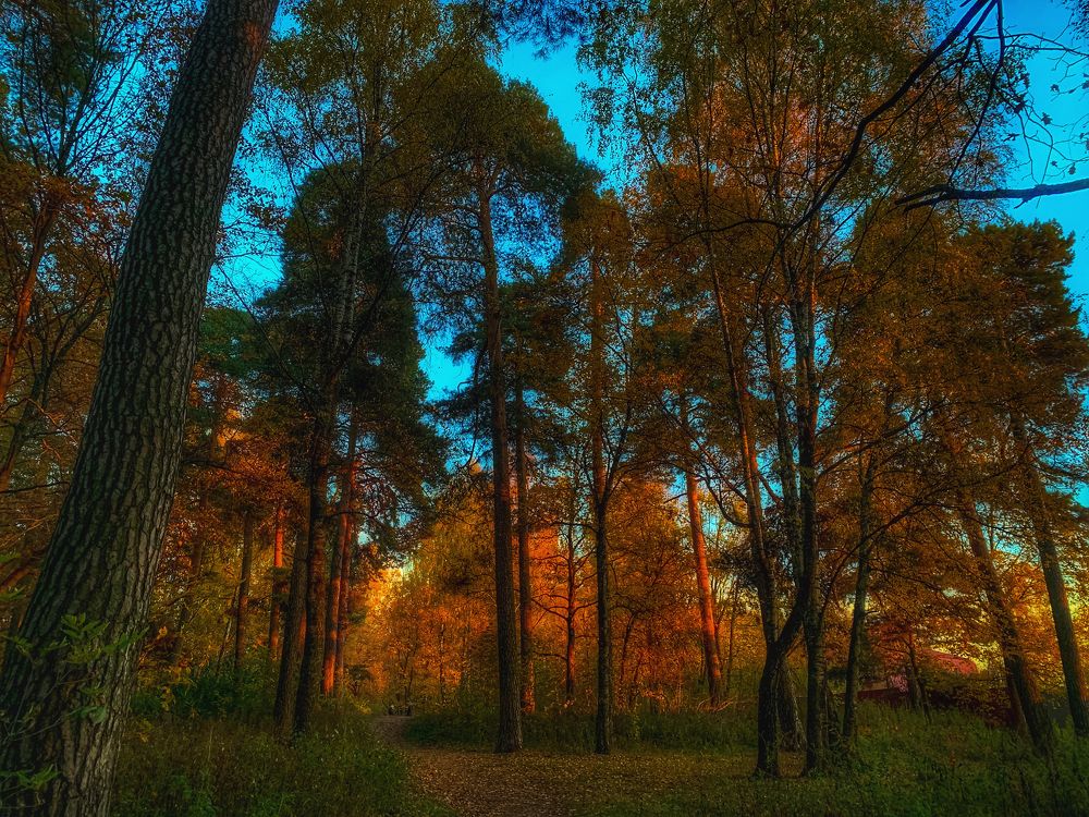 Photograph by Юлия Чиклеева