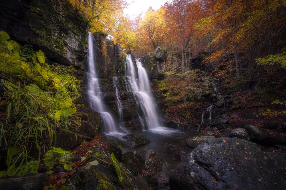 Photograph by Nicola Manfredi