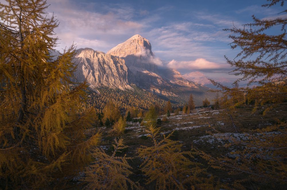 Photograph by Nicola Manfredi