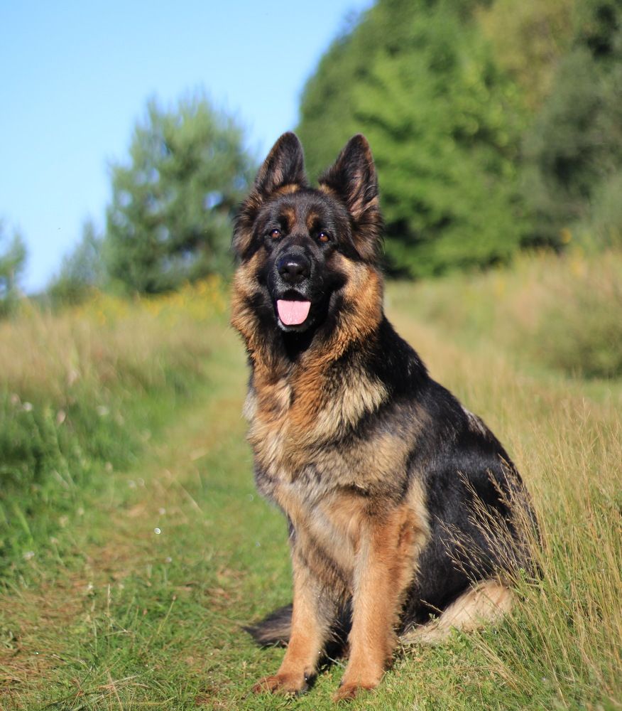 Летняя прогулка.