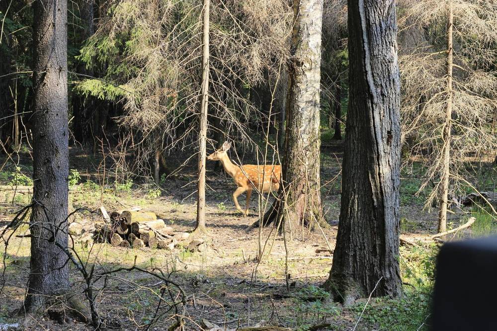 Photograph by Анна